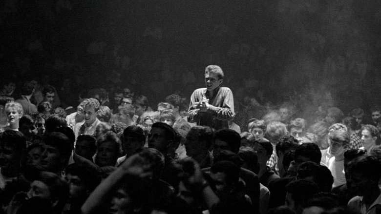 In Memory of Rock