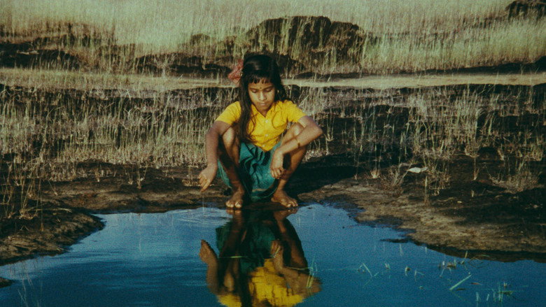 Scene 2