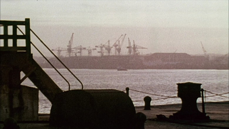 Scene 3