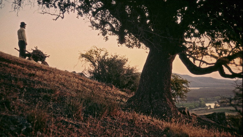 Scene 2