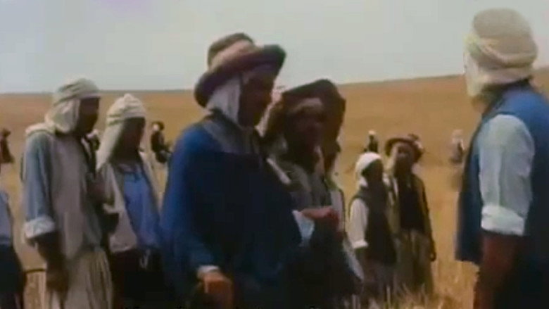 Scene 4