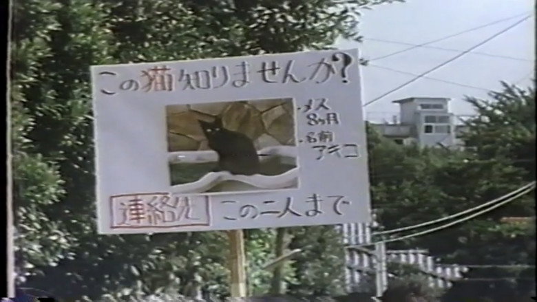 Scene 5