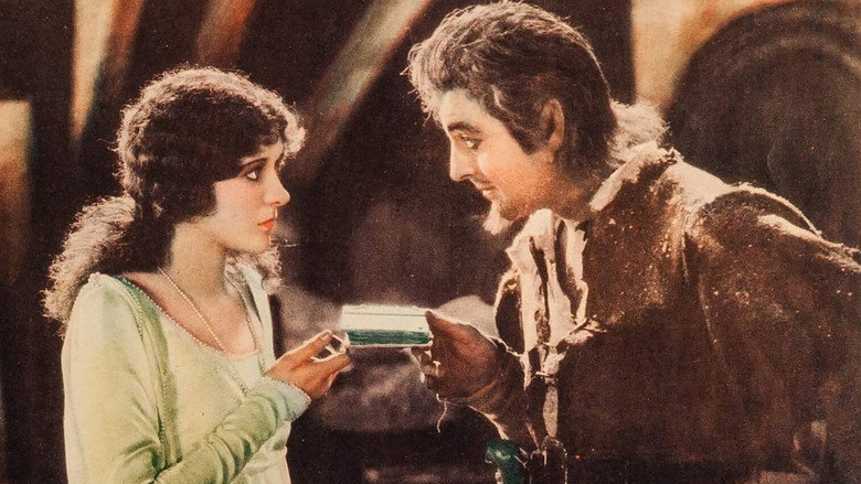 Scene 3