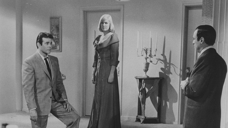 Scene 3