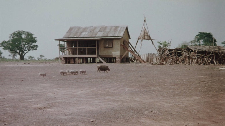 Scene 2