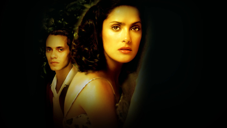 Scene 4