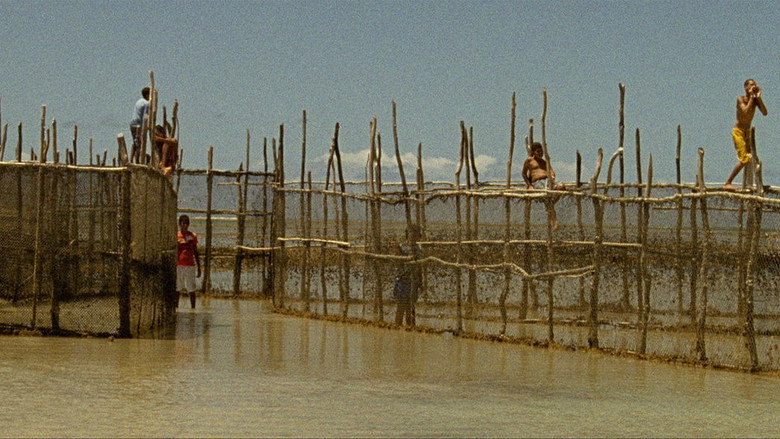 Scene 3