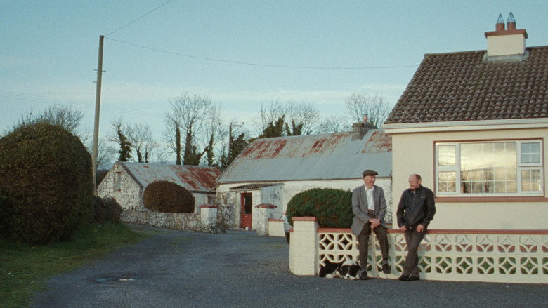 Scene 3