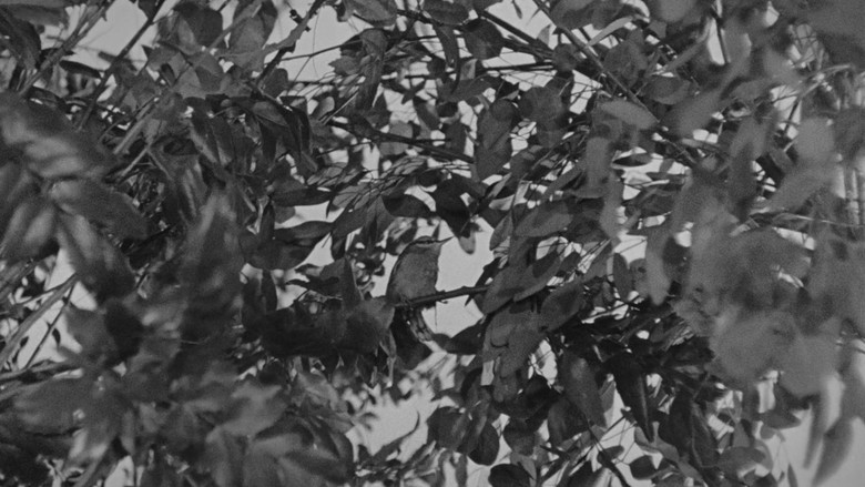 Scene 5
