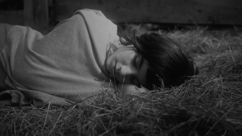 Scene 3