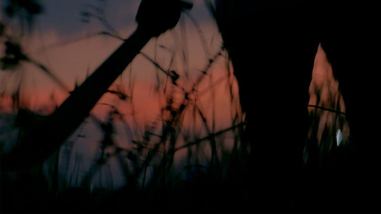Scene 3