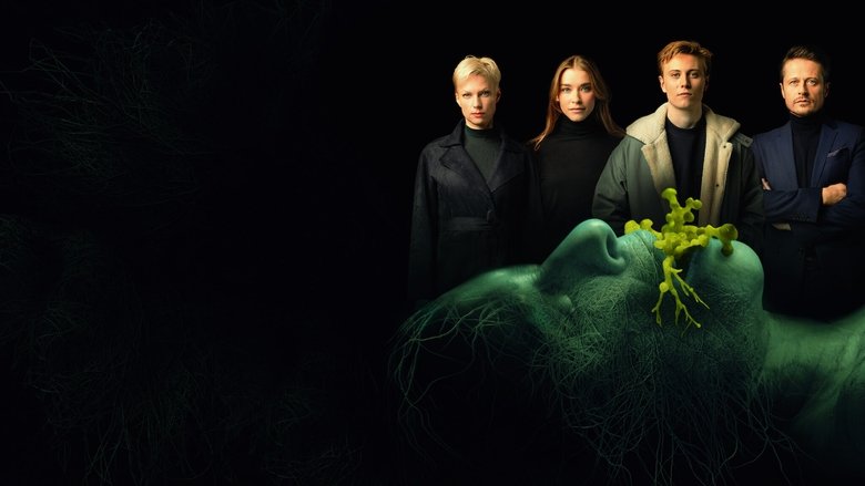 The Privilege backdrop
