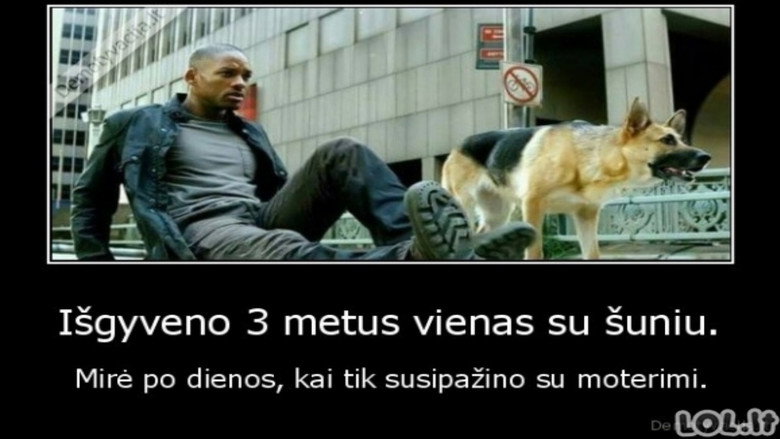 Scene 4