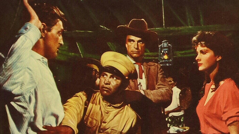 Scene 5