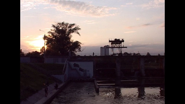 view all