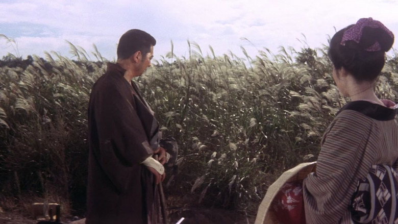 Scene 5