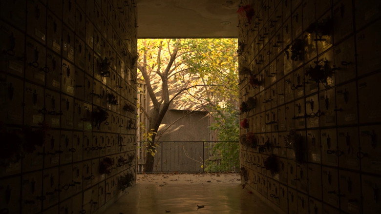 Sanctuary backdrop