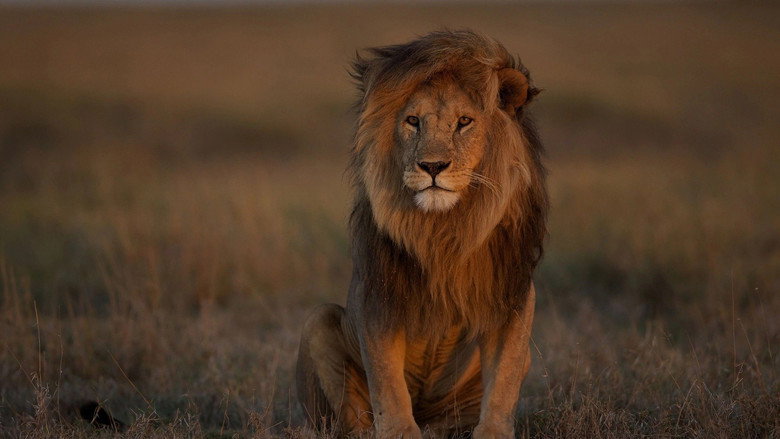 Scene 3