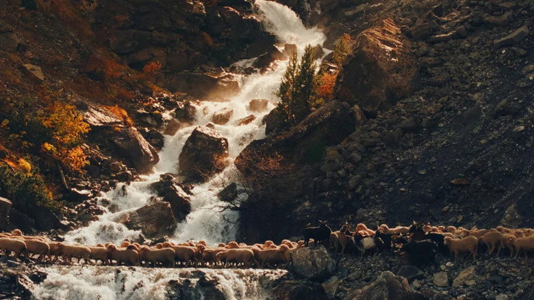 Scene 4