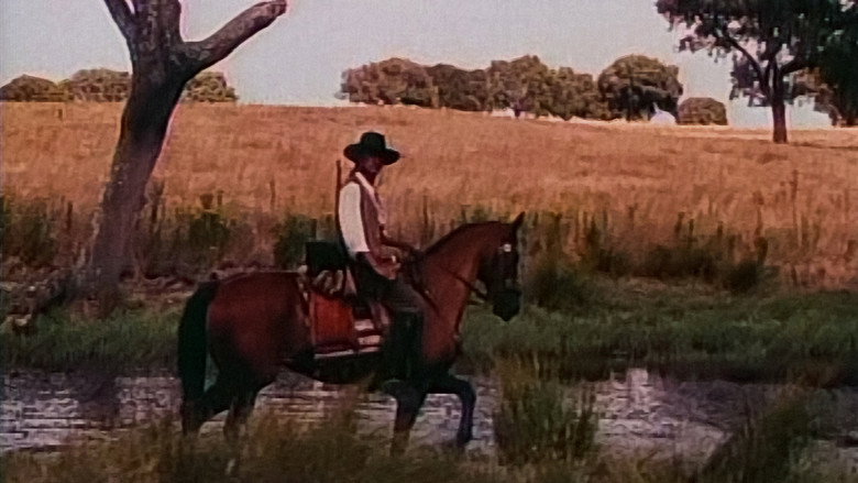 Scene 3