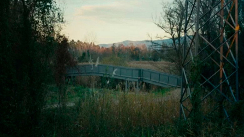 Scene 5