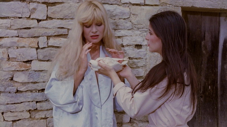 Scene 3