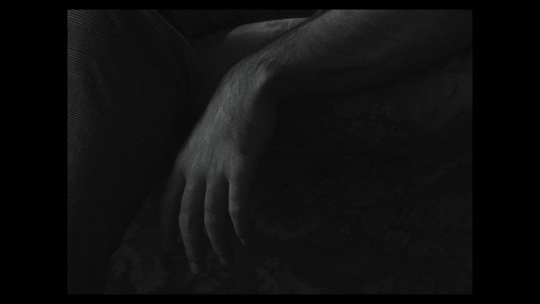 Scene 4