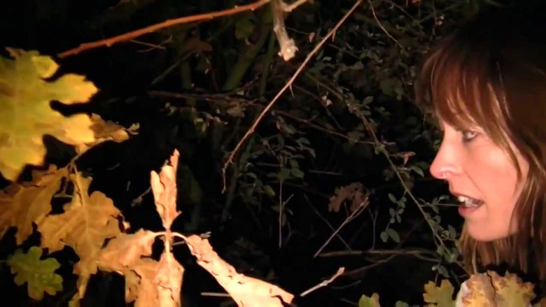 Scene 5