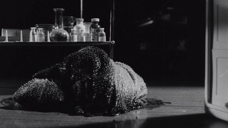 Scene 5