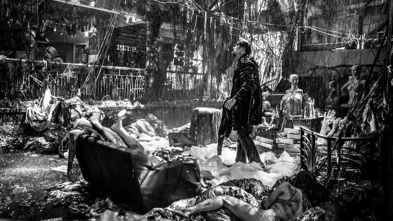 Scene 3