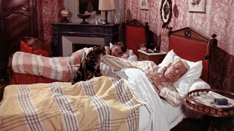 Scene 3