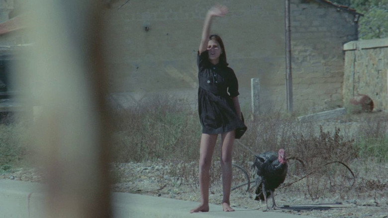 Scene 4