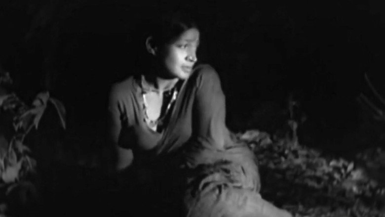 Scene 3