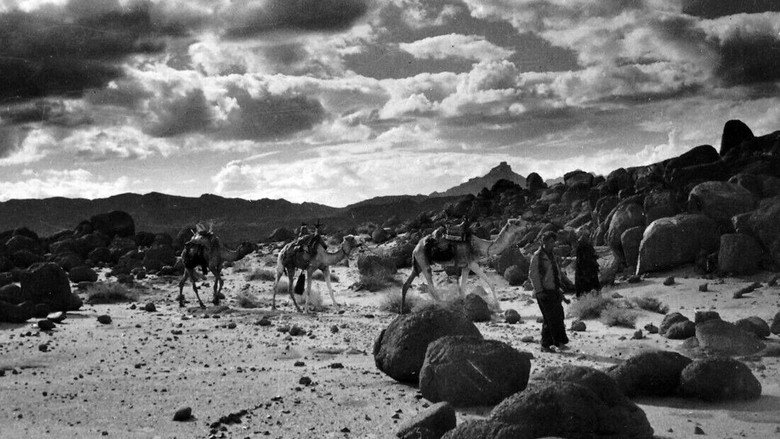 Scene 3