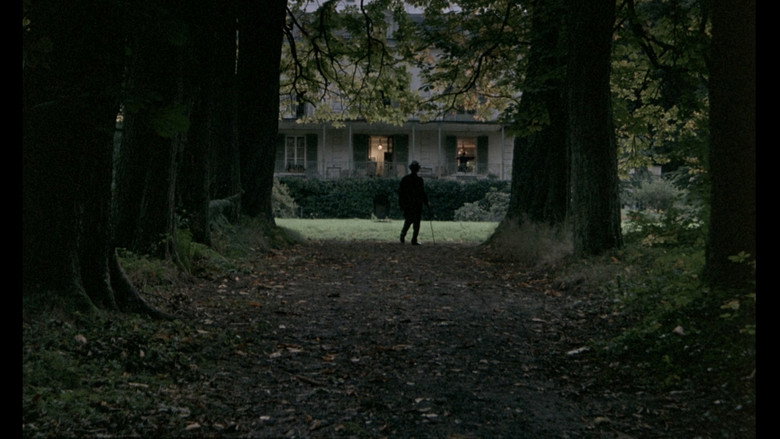 Scene 5