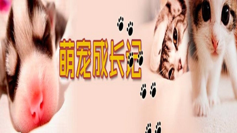 萌宠成长记（精编版） backdrop