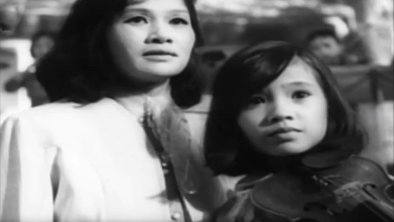 Scene 5
