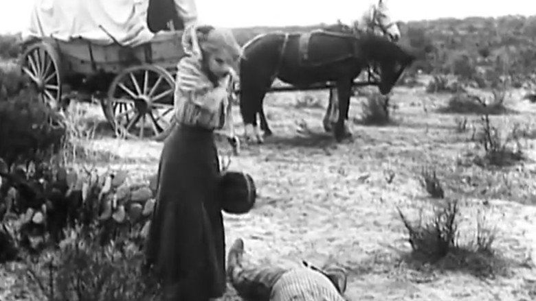 Scene 3