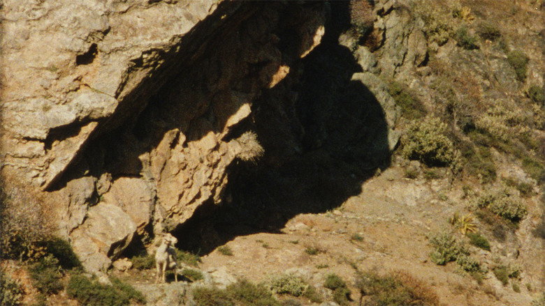 Scene 3