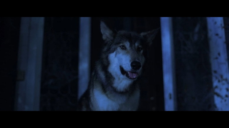 Scene 3