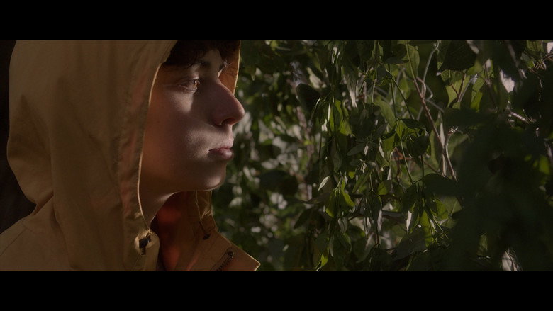 Scene 5