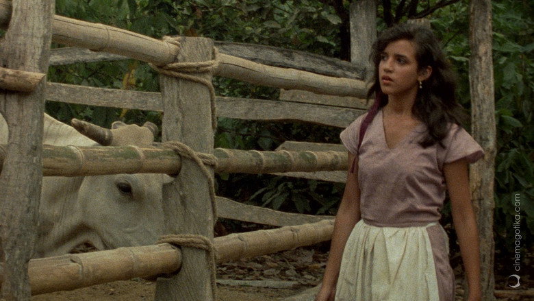 Scene 2