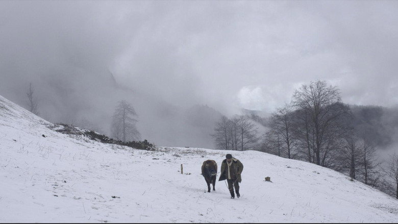 Scene 2