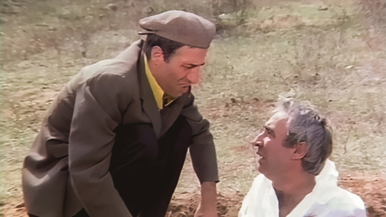 Scene 3