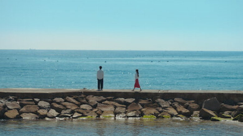 view all