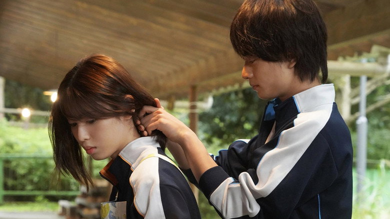 Scene 5