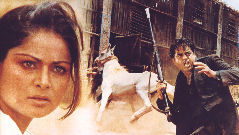 Scene 3
