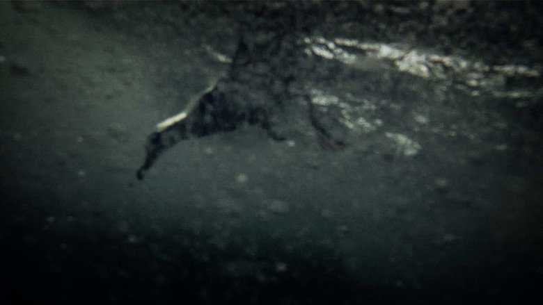 Scene 3