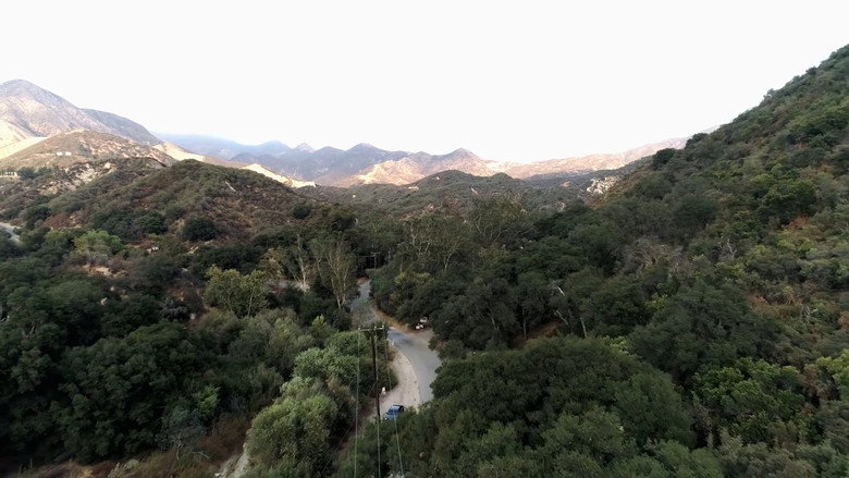 view all