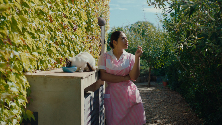 Scene 3